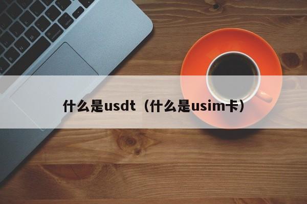 什么是usdt(什么是usim卡)
